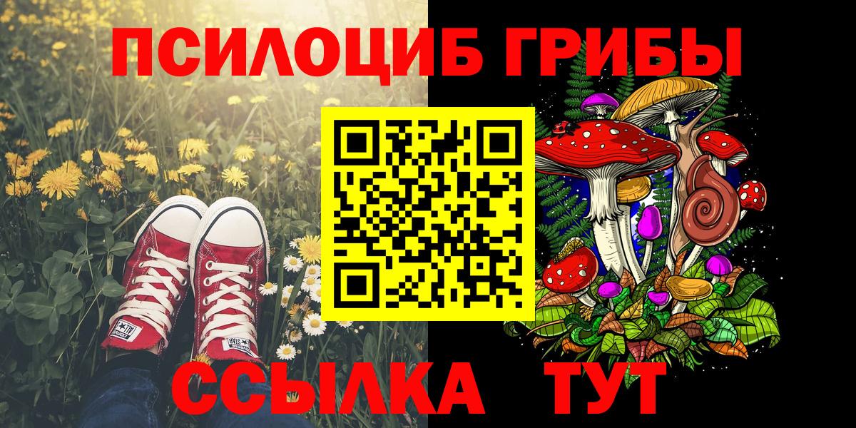 Псилоцибиновые грибы мицелий  Вход с VPN  Рязань 